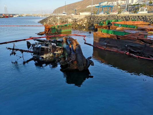 Desastre ambiental de Gran Tarajal